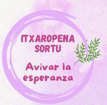 IDTP programa 2024-25