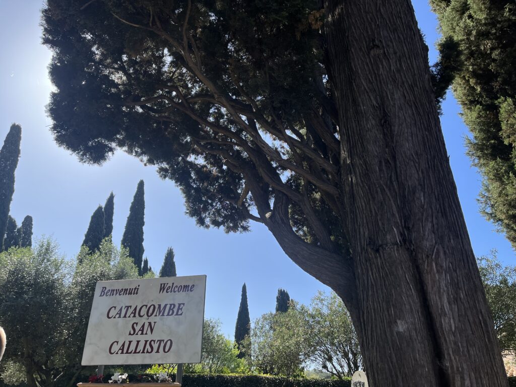 Peregrinación a Roma