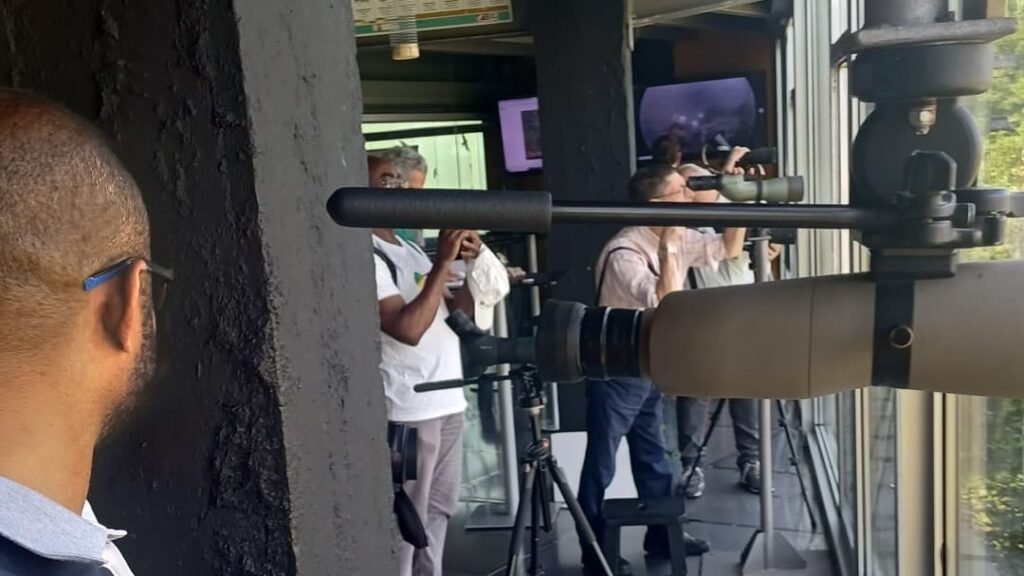 Txangoa I-II bikaritzatik